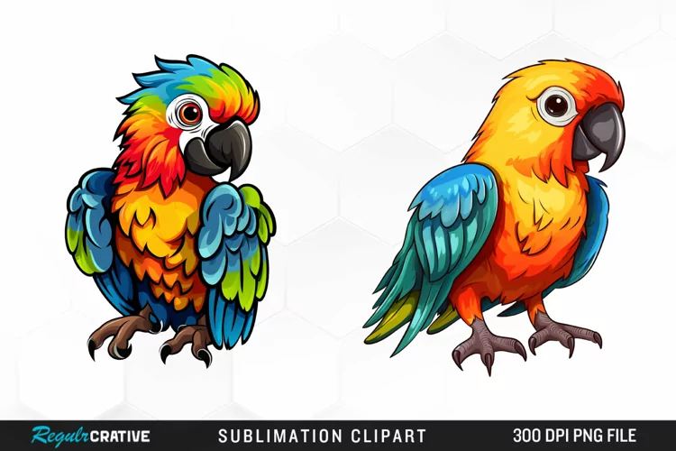 Watercolor Baby Parrot Exquisite Clipart