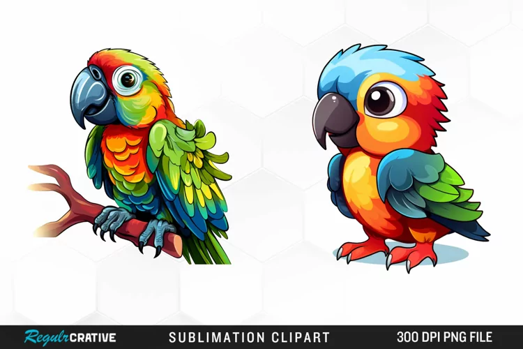 Watercolor Baby Parrot Graphic Clipart