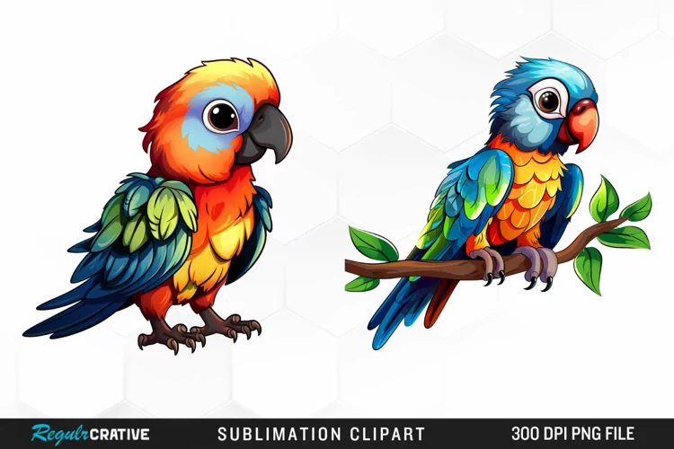 Watercolor Baby Parrot Watercolor Graphics Clipart