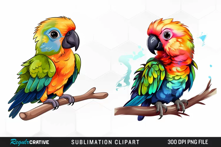 Watercolor Baby Parrot Design Clipart