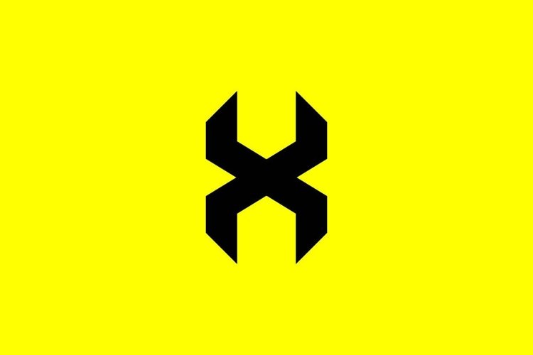 Letter X Logo Image 21