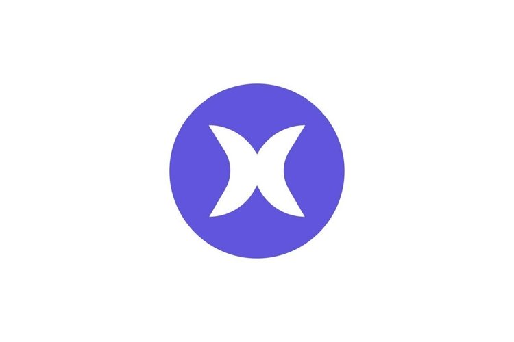 Letter X Logo Image 19