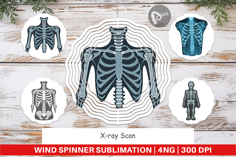 Xray Clipart Image 7