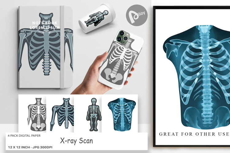 Xray Clipart Image 23