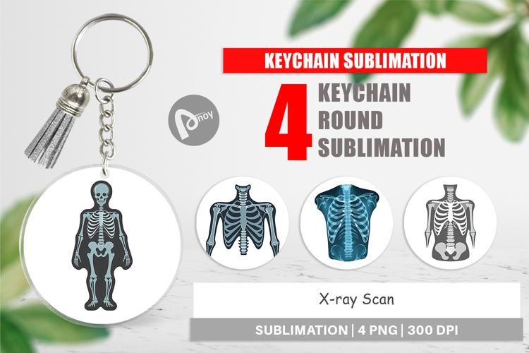 Xray Clipart Image 17