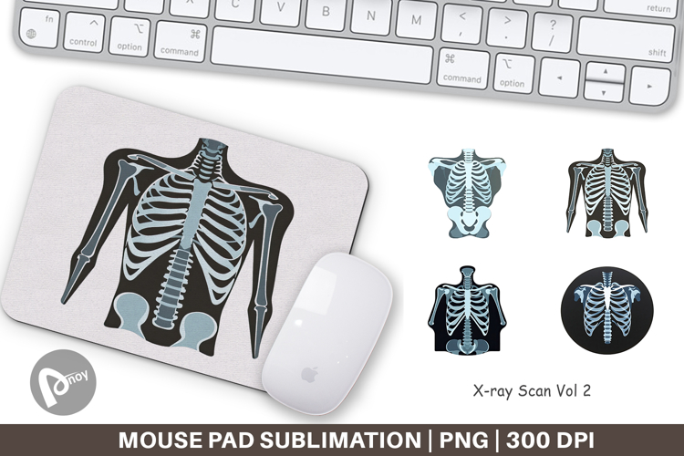 Mouse Png Image 6