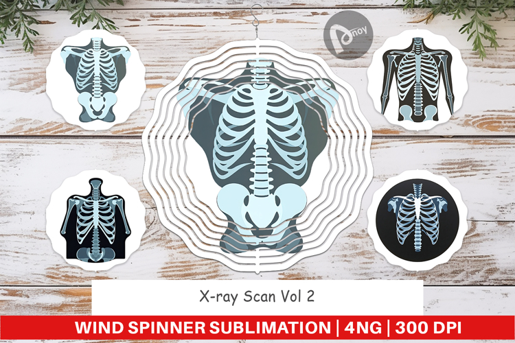Xray Clipart Image 6