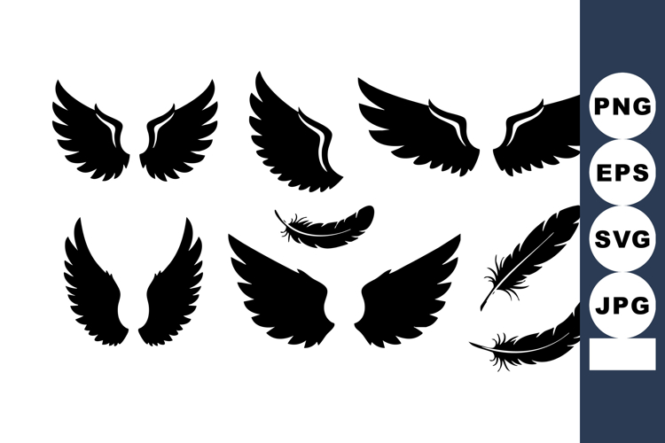 Feathers Clipart Image 3