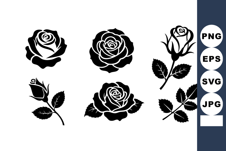 Rose Clipart Image 18
