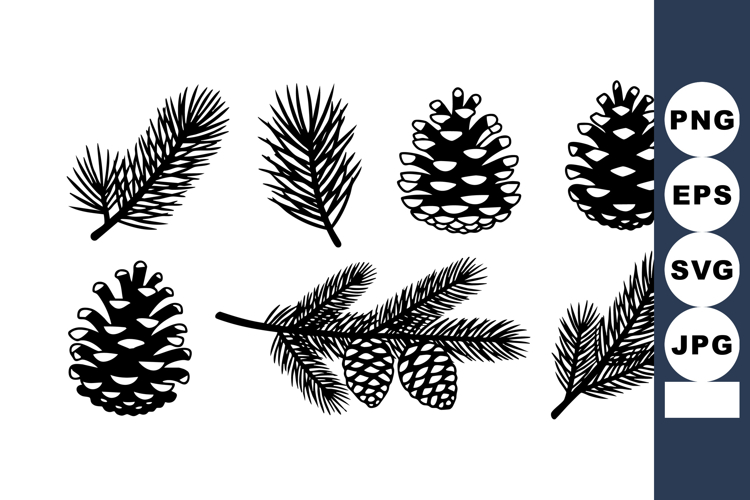 Pine cones and pine tree branches vector illustration in bla