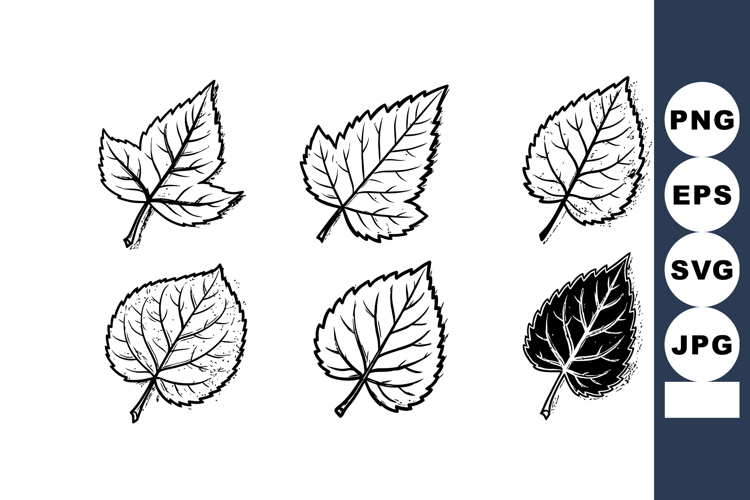 Leaf Black And White Clipart Image 12