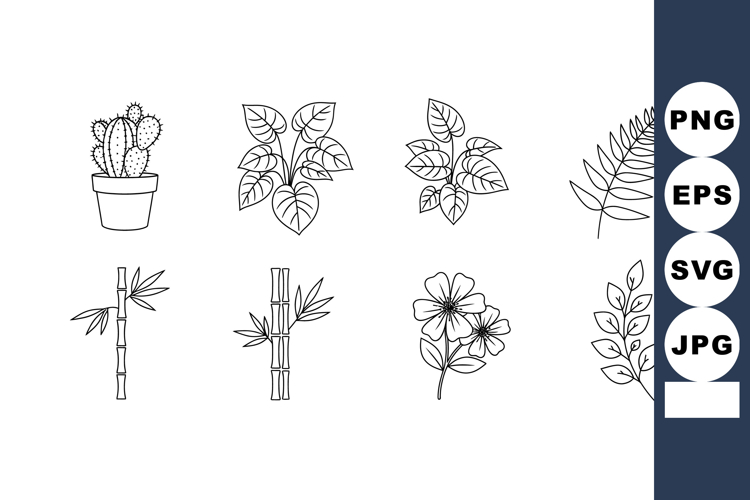 Collection of hand drawn botanical plants and leaves vector