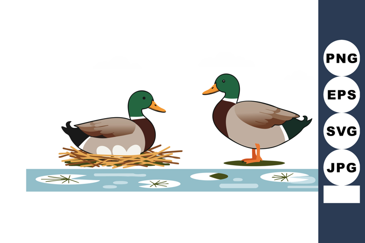 Ducks Clipart Image 8