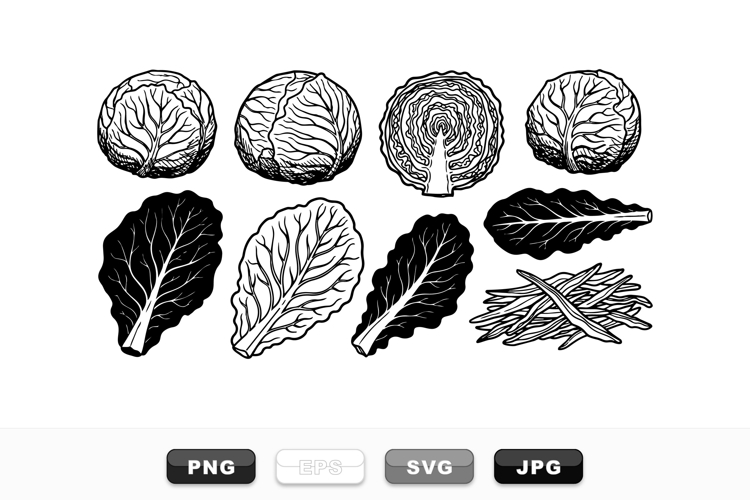 Vegetable Garden Clipart Image 11