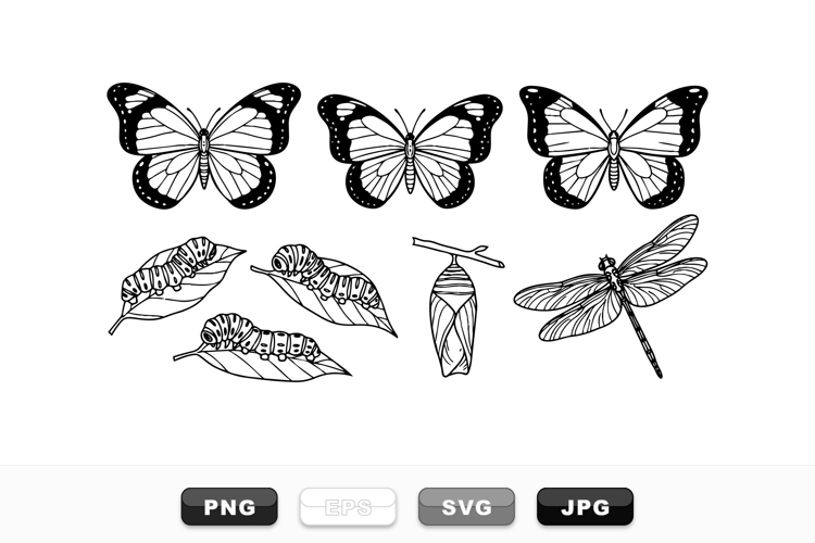 Black Clipart Image 21