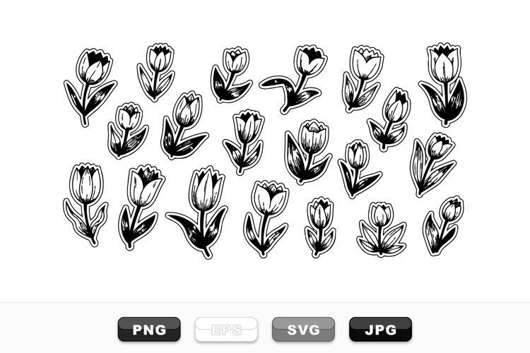 Hand Drawn Black And White Tulip Clipart Bundle