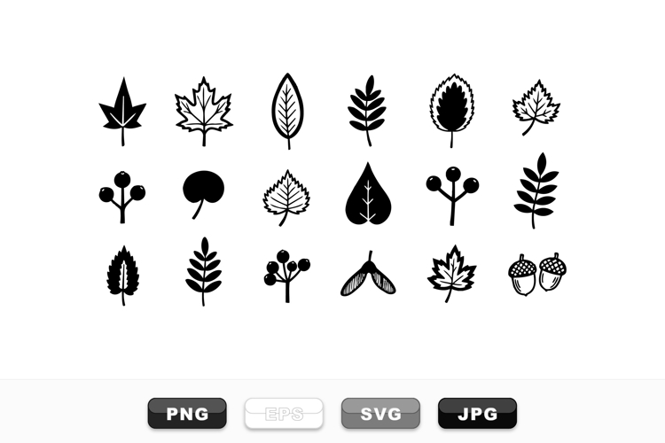 Hand Drawn Autumn Leaves Vector Clipart Set