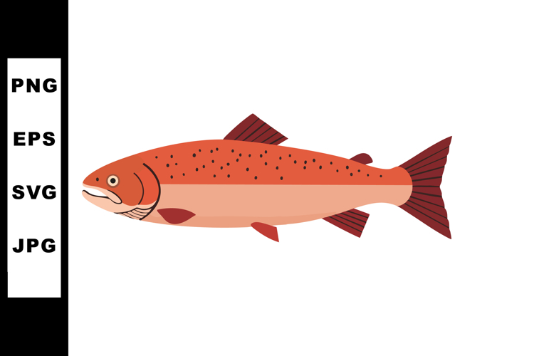 Salmon Clipart Image 13