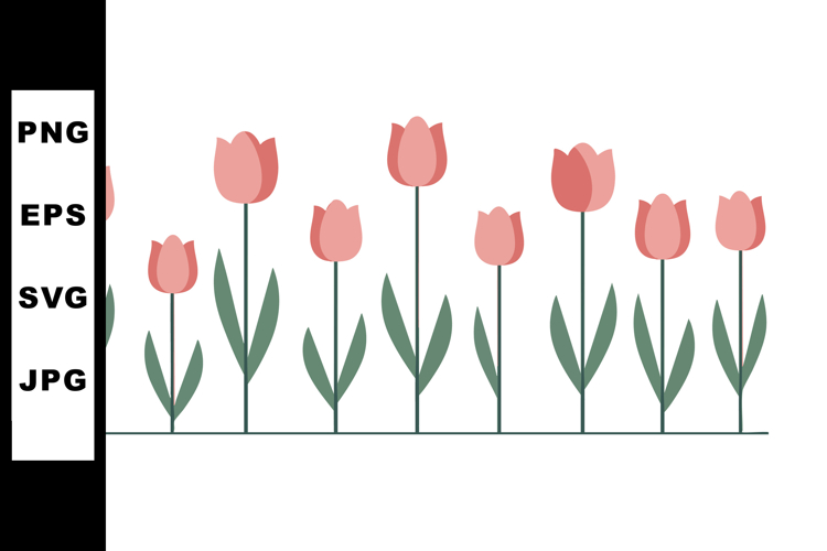 Tulip Illustration Image 23