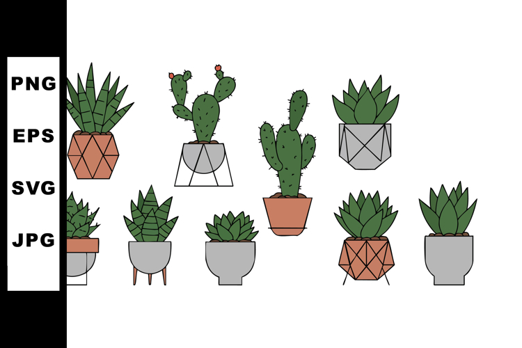 Succulent Clipart Image 2
