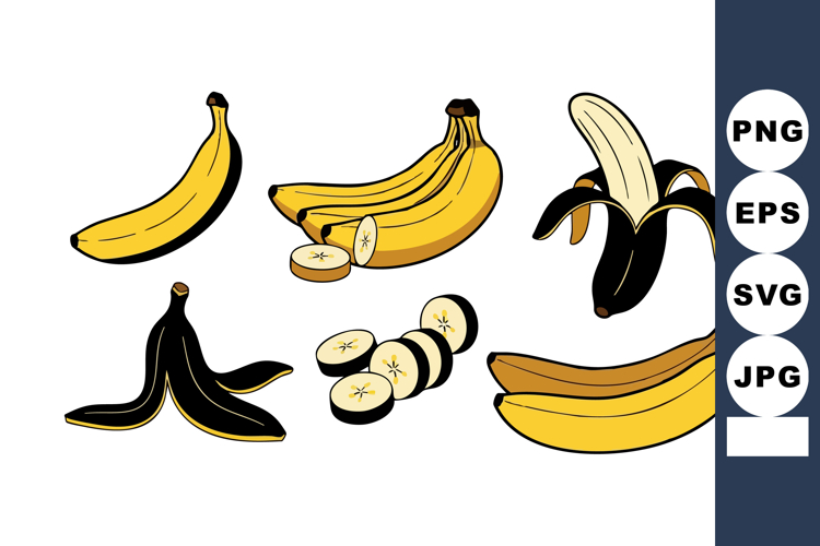 Fruit Vector Image 8