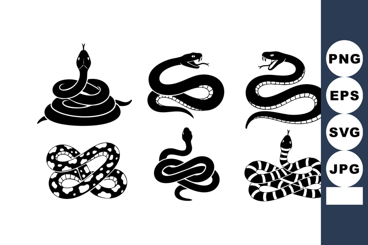 Snake vector with six different coiled and striking snake d