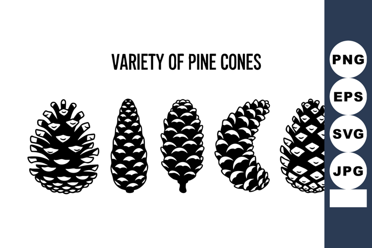 Pine Cone Silhouette Image 16
