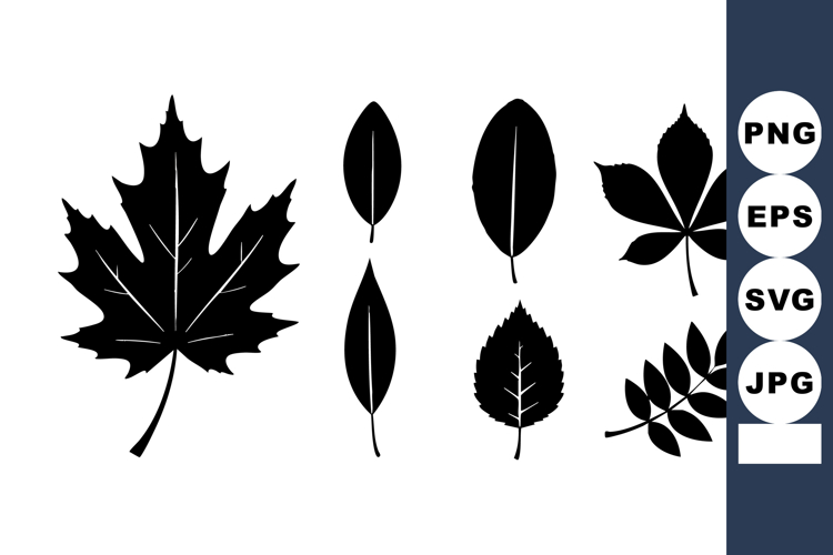 Leaf Silhouette Image 6