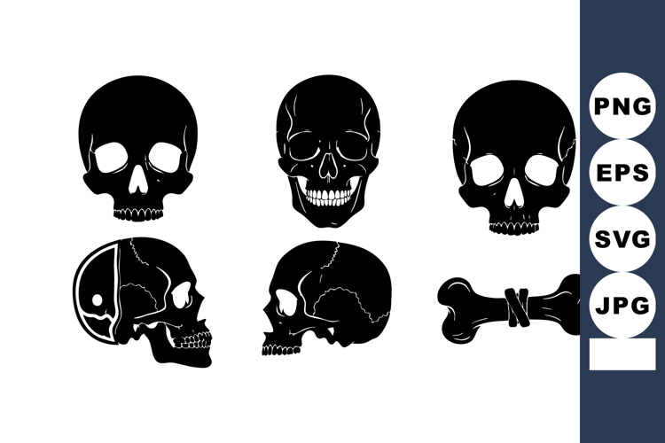 Bone Illustration Image 11