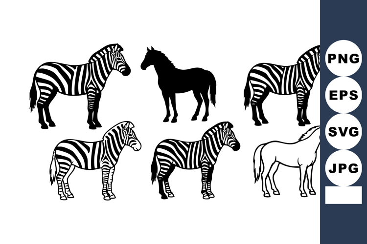 Zebra Illustration Image 23