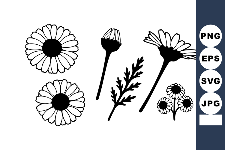 Flowers Vector Image 19