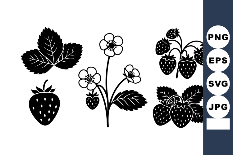 Strawberry Vector Image 6