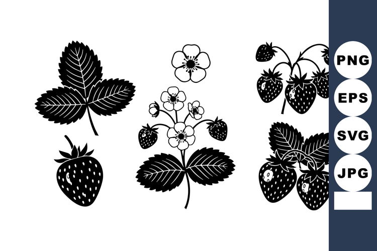 Strawberry Vector Image 9
