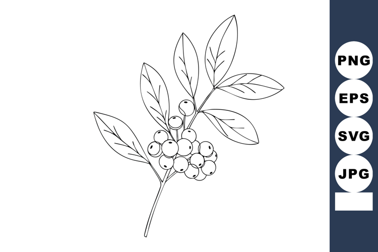 Nature Illustration Image 7