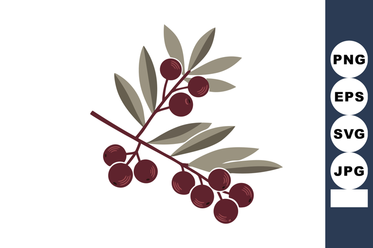 Fruit Illustration Image 15