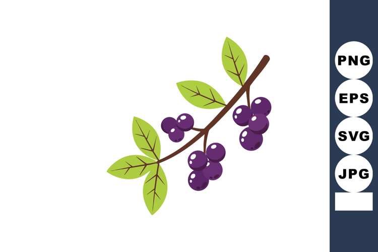 Nature Illustration Image 12