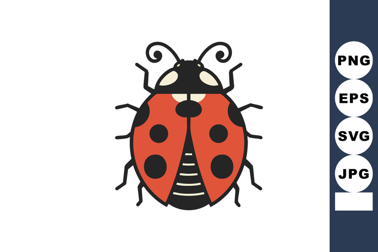 Bug Illustration Image 19