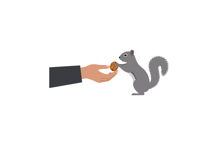 Squirrel Clipart Image 10