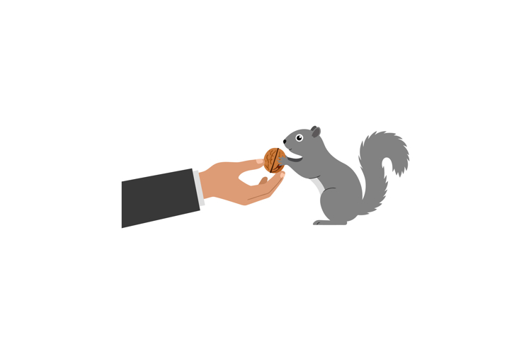 Squirrel Clipart Image 12