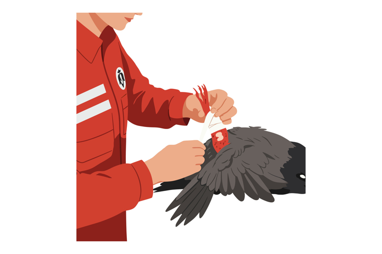 Jacket Clipart Image 15