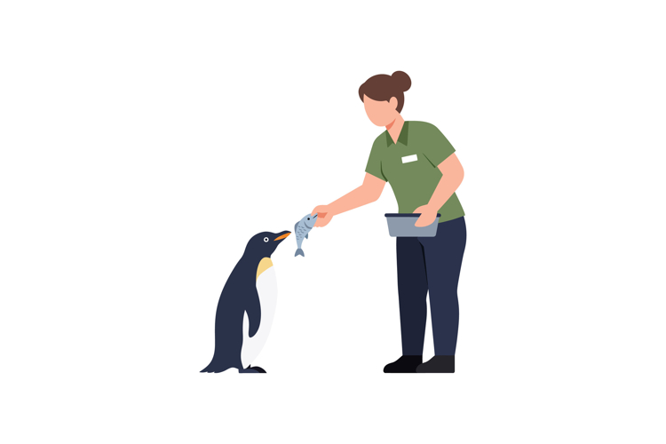 Penguin Clipart Image 15