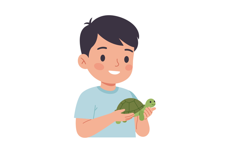 Turtle Clipart Image 19