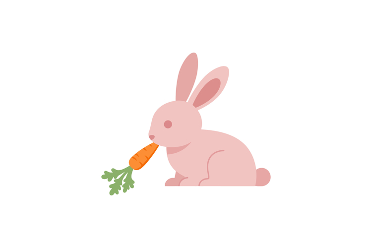 Rabbit Illustration Image 18