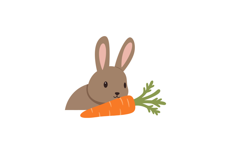 Rabbit Illustration Image 16