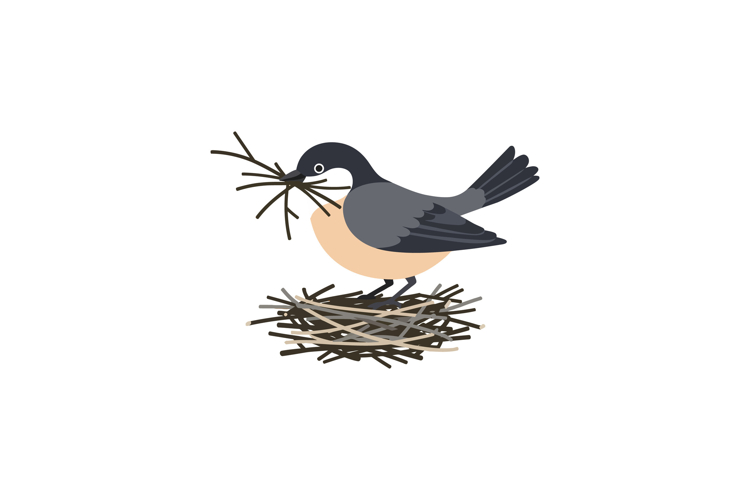 Bird Nest Clipart Image 11