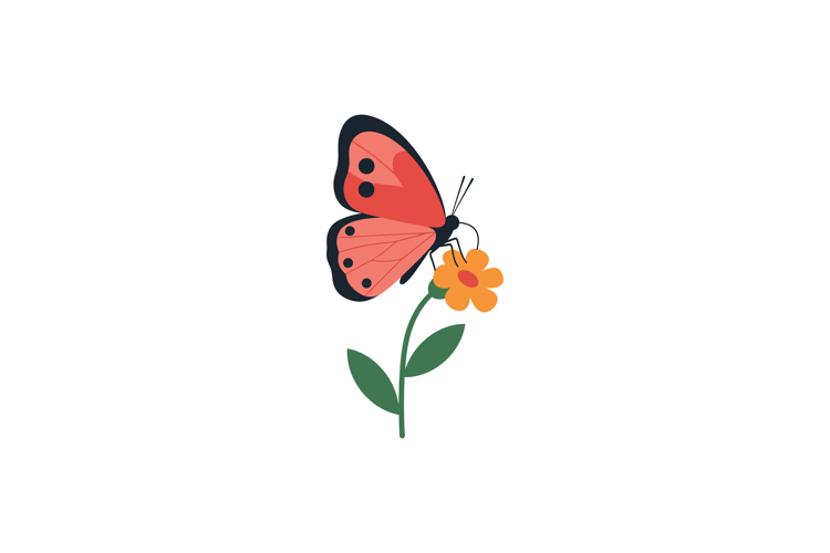 Butterfly Clipart Image 15