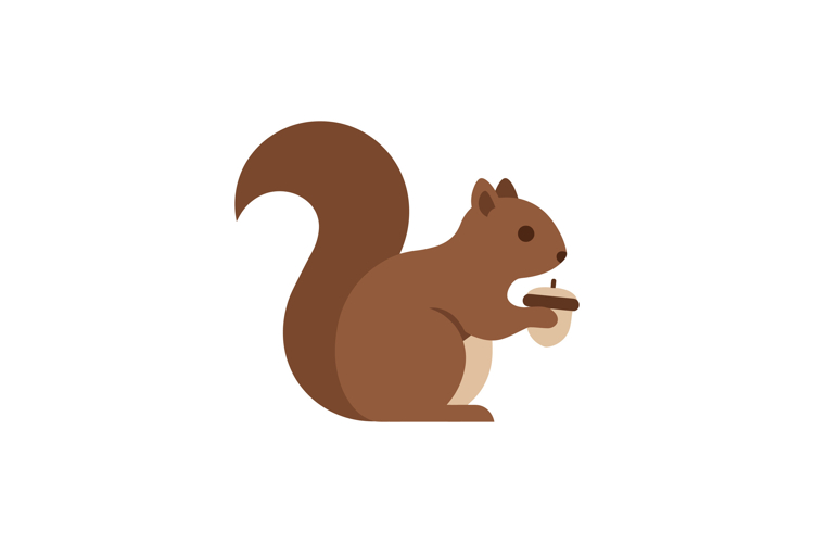 Acorn Vector Image 14