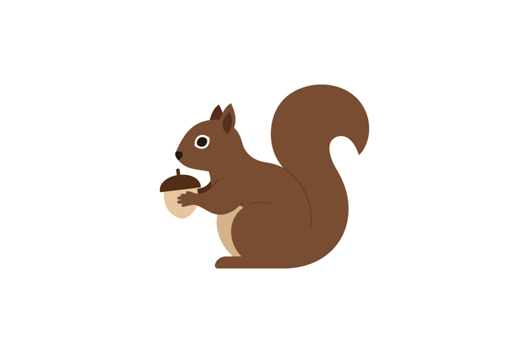 Squirrel Clipart Image 16