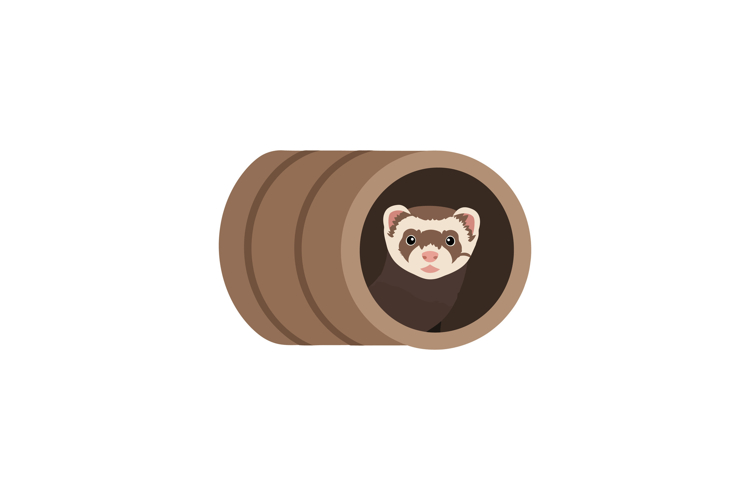 Ferret Clipart Image 3