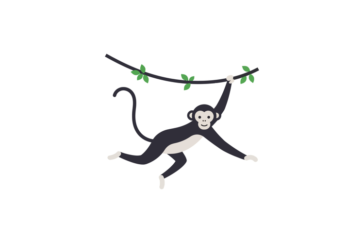 Monkey Clipart Image 19